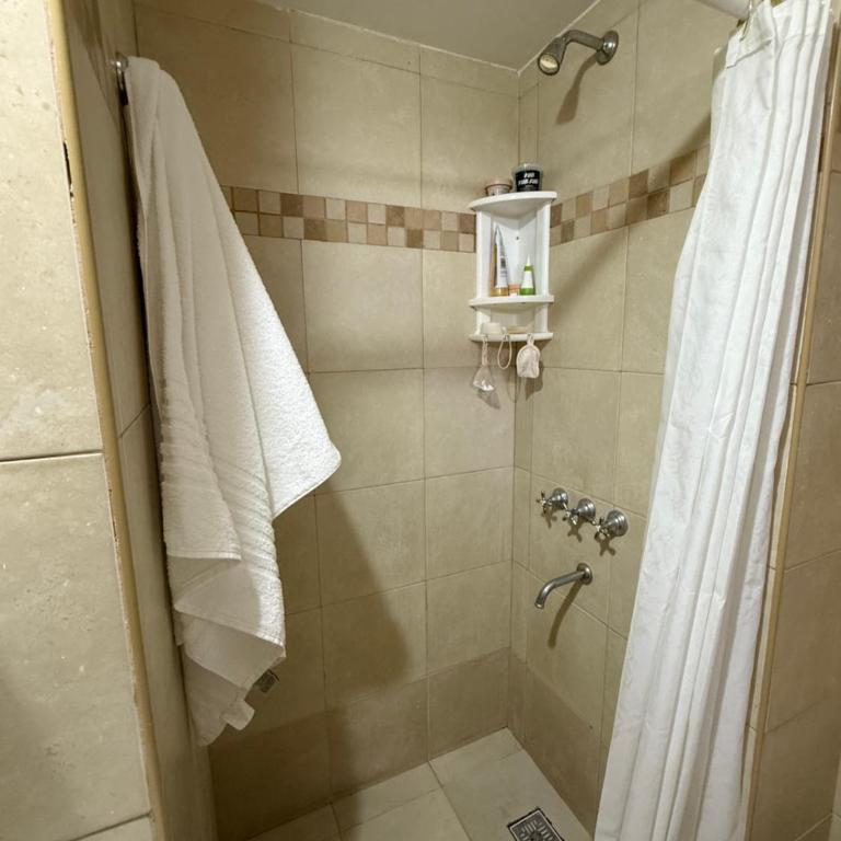 Dpto céntrico 4 de enero - One-Bedroom Apartment - 13