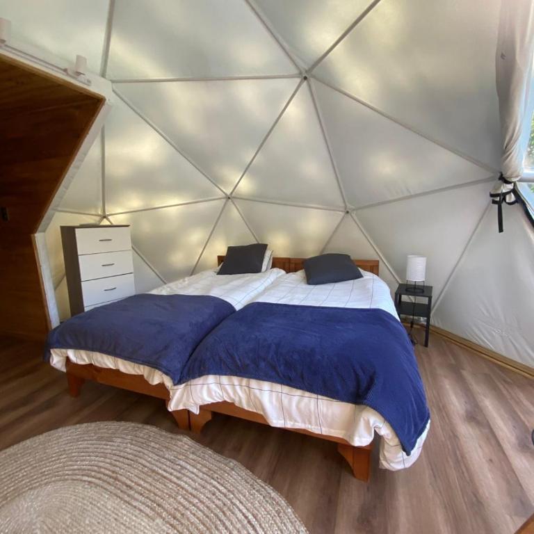 HuellaBlanca - One-Bedroom Villa - 6