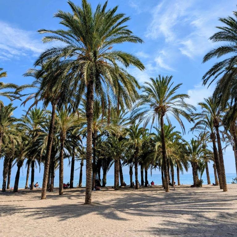 Sunny Seaview - Apartamento de 1 dormitorio - 19