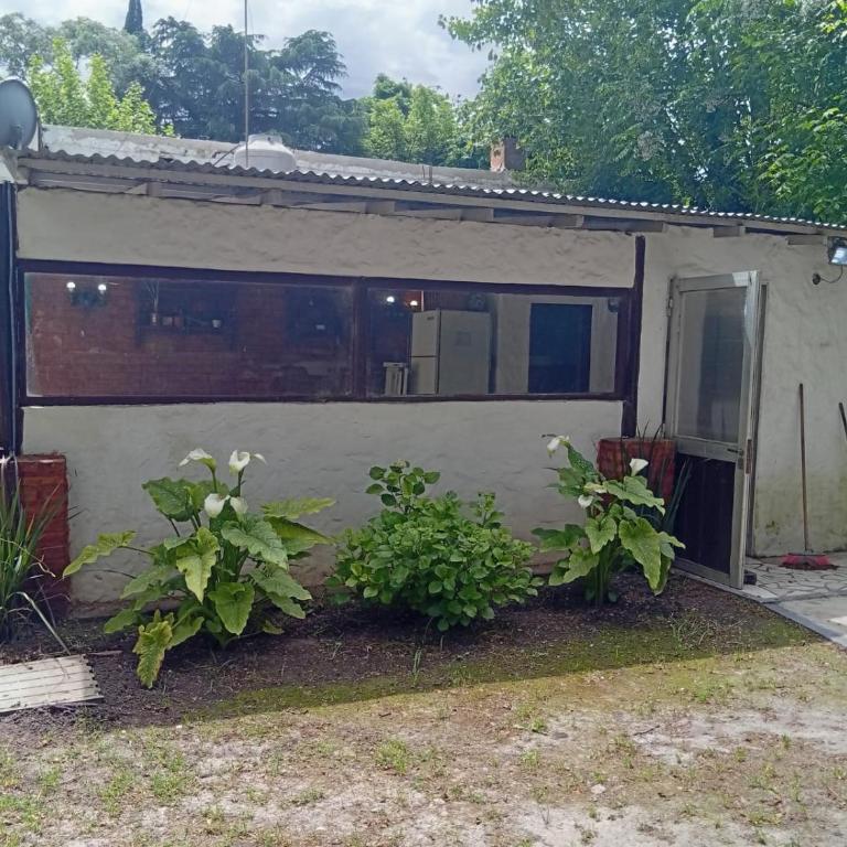 Quinta Aleli - Casa de 2 dormitorios - 5