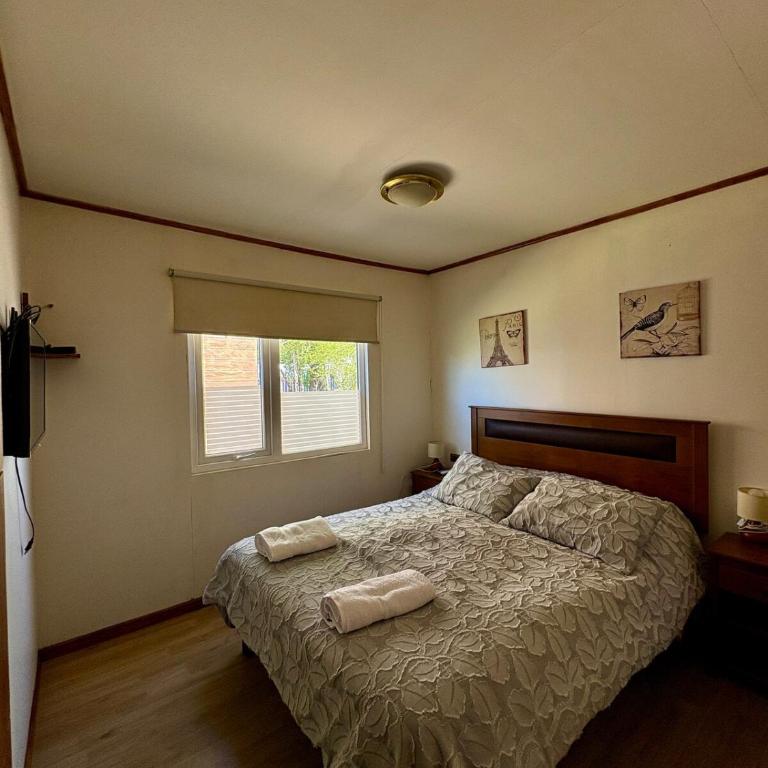 El Estero 2 - One-Bedroom Apartment - 2