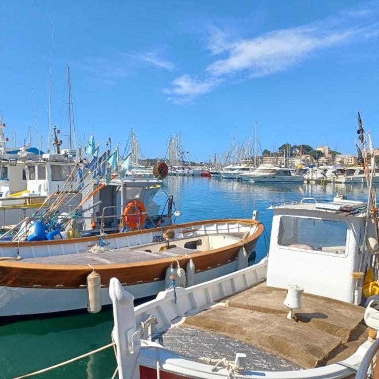 studio proche port et plage de Sanary-sur-Mer - Studio - 13