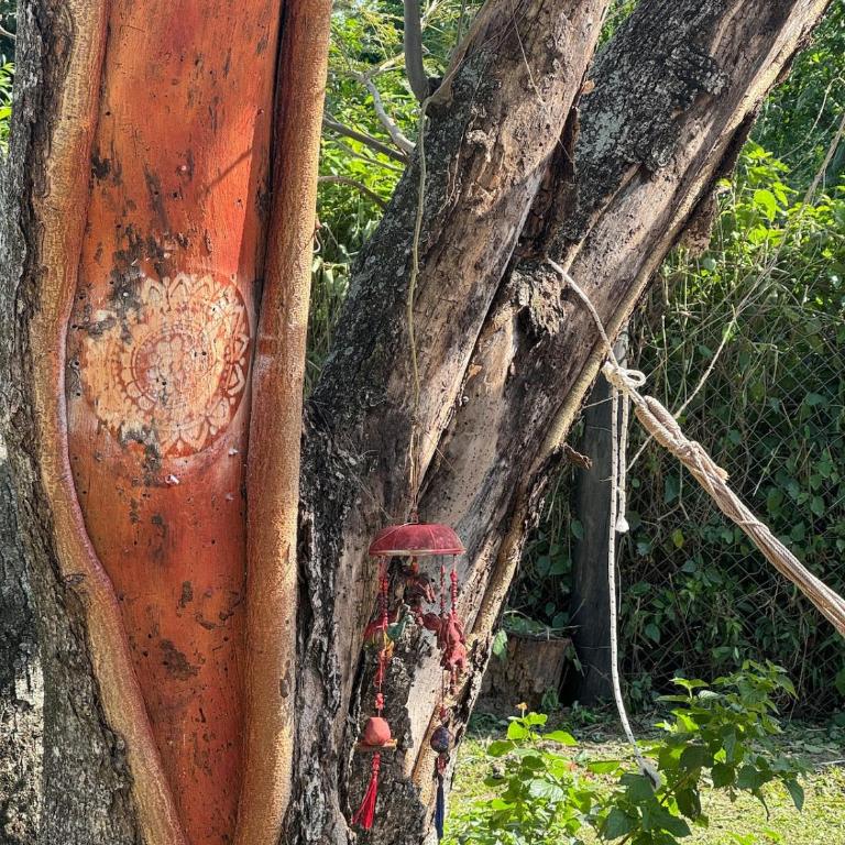 Tierra de Hermes - Casa con 1 dormitorio - 15