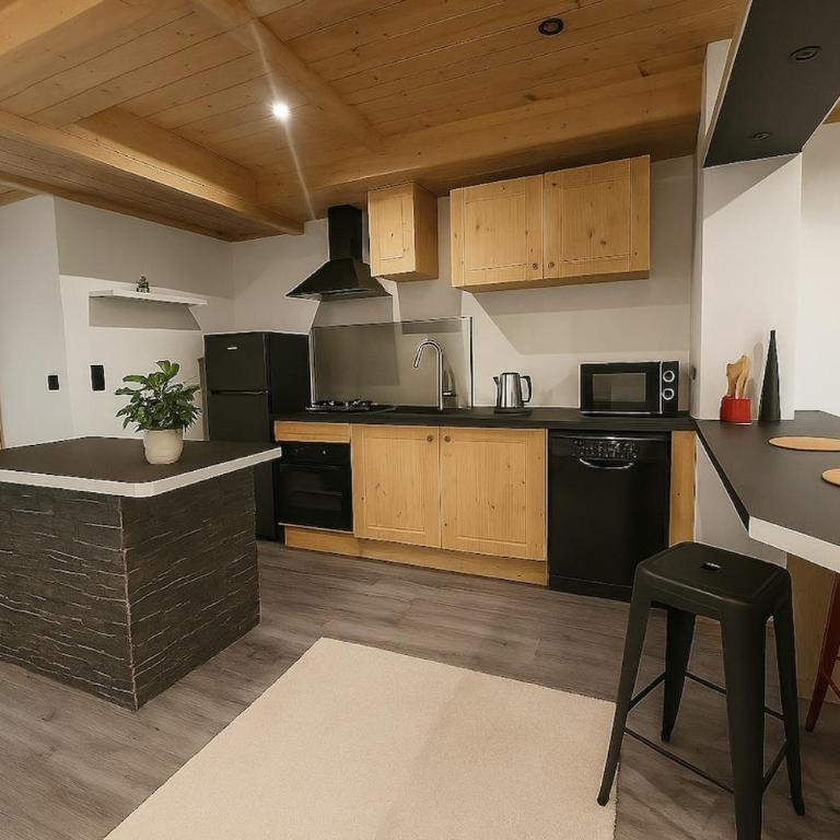 Appartement chalet - One-Bedroom Apartment - 2
