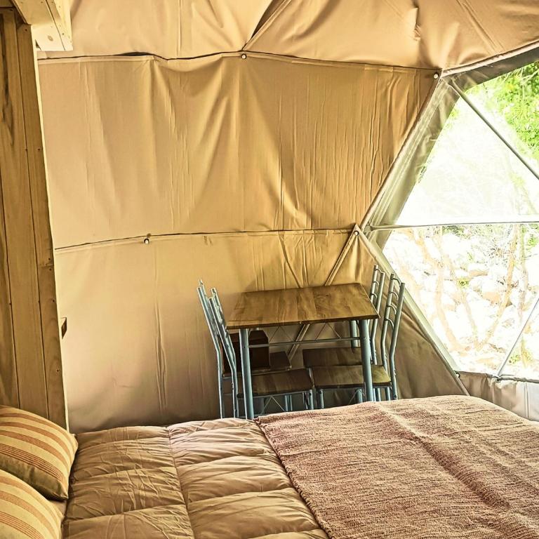 Glamp Refugio Silvestre 7 Tazas - Tienda - 4