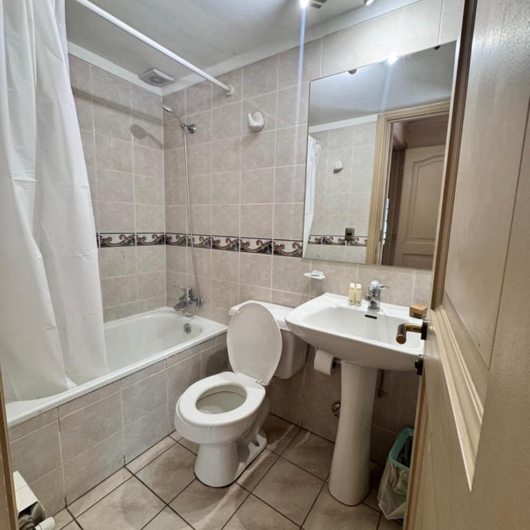 Departamento Pet friendly a Metros del Mall Cenco Temuco, Casino Dreams y Av Alemania - One-Bedroom Apartment - 7