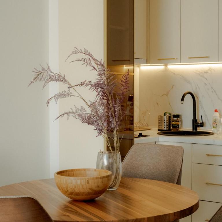 LALA & DAUGHTERS Apartment - Apartman sa 1 Spavaćom Sobom - 7
