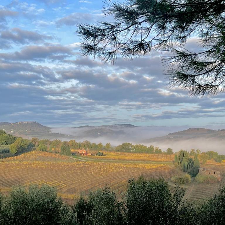 LA COLLINA DEI SAPORI Montepulciano - Appartamento con 3 Camere da Letto - 21