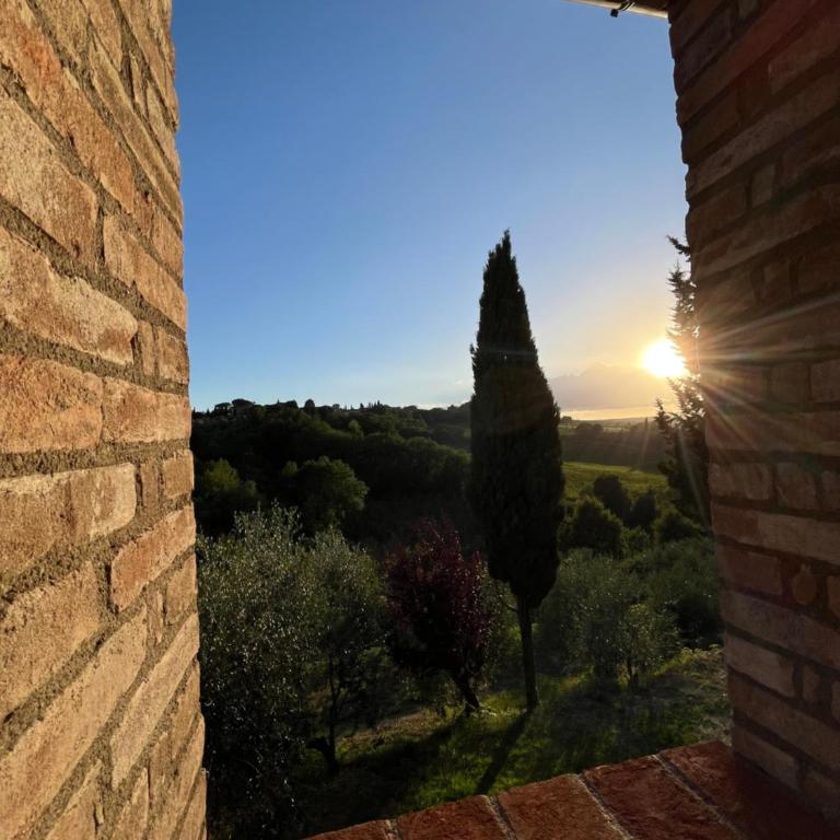 LA COLLINA DEI SAPORI Montepulciano - Appartamento con 2 Camere da Letto - 30