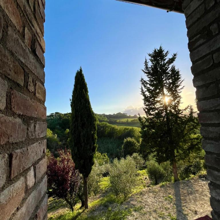 LA COLLINA DEI SAPORI Montepulciano - Appartamento con 3 Camere da Letto - 23