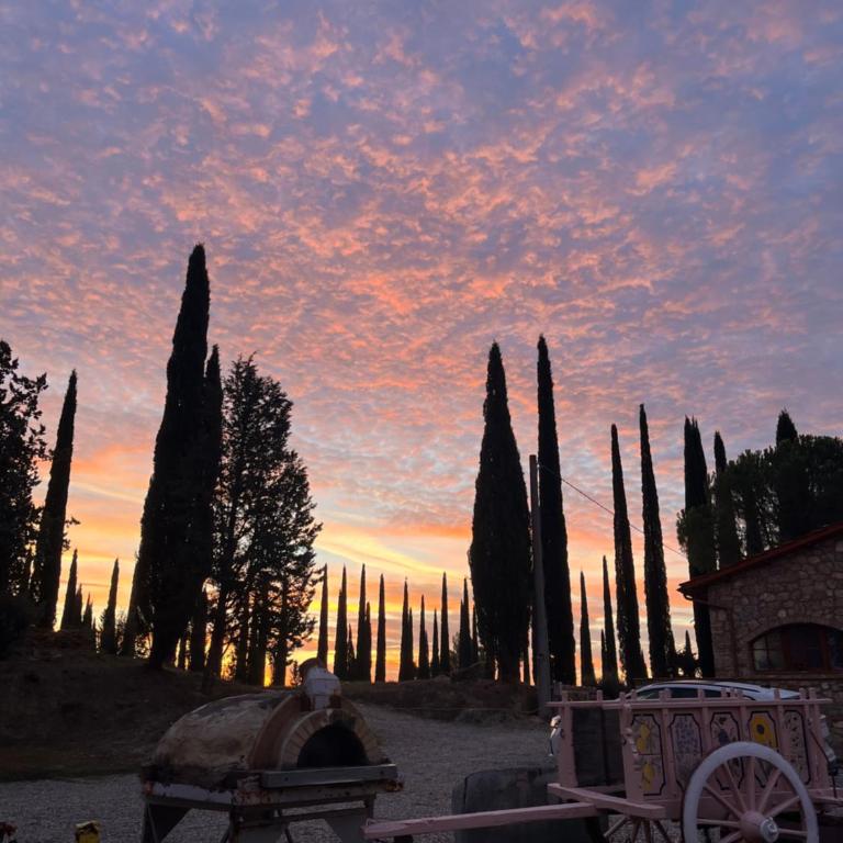 LA COLLINA DEI SAPORI Montepulciano - Appartamento con 3 Camere da Letto - 24