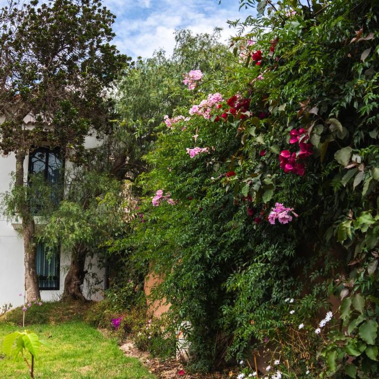 Casa Julia - Six-Bedroom House - 25
