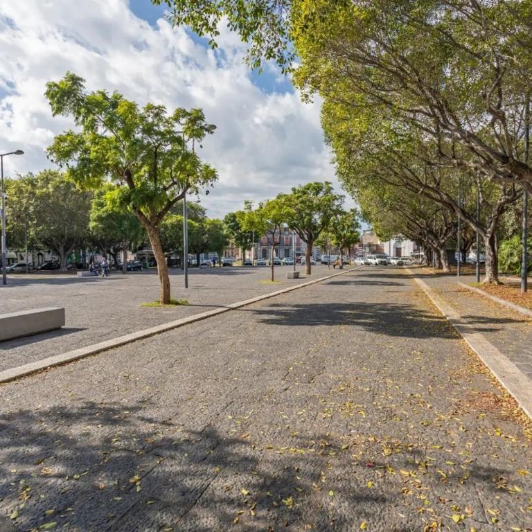 MaCri House - One-Bedroom House - 21