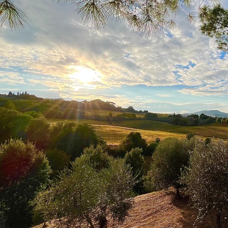 LA COLLINA DEI SAPORI Montepulciano - Appartamento con 3 Camere da Letto - 16