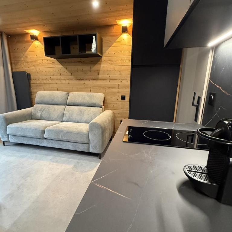 Appartement au pied des pistes - One-Bedroom Apartment - 1