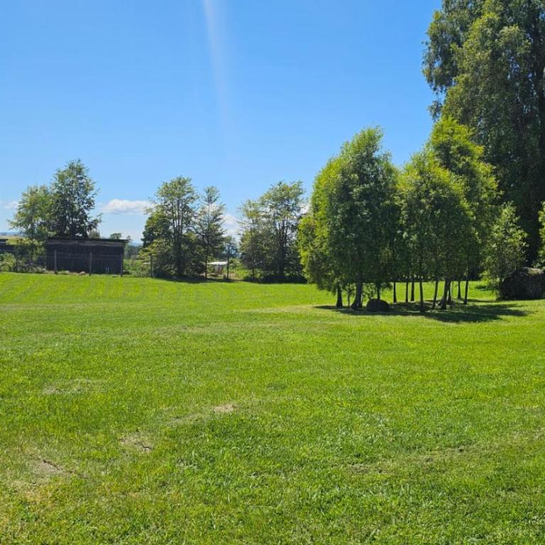 Cabaña Panguipulli - Sector Altos de Palguin - Two-Bedroom House - 2