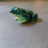 The Frog's Hideaway - Appartamento con 1 Camera da Letto - 1