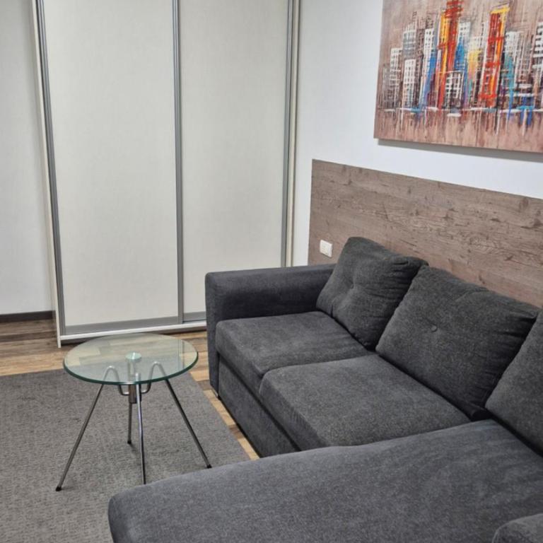 Cozy apartment in the center of Belgrade - living room, bedroom and bathroom - One-Bedroom Apartment - 2