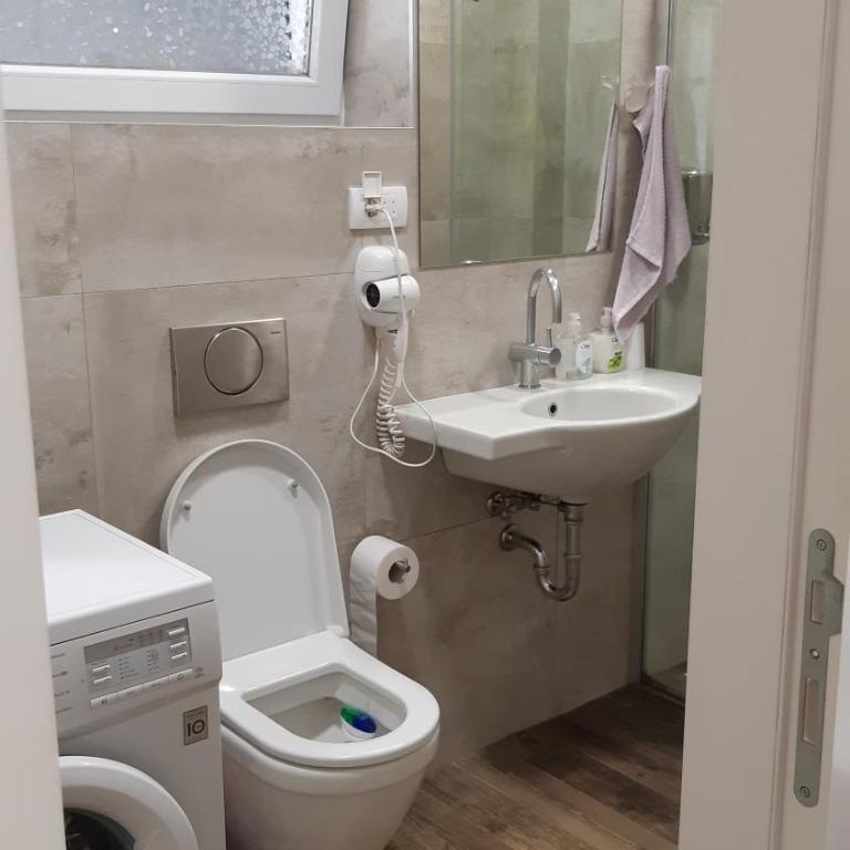 Cozy apartment in the center of Belgrade - living room, bedroom and bathroom - One-Bedroom Apartment - 9