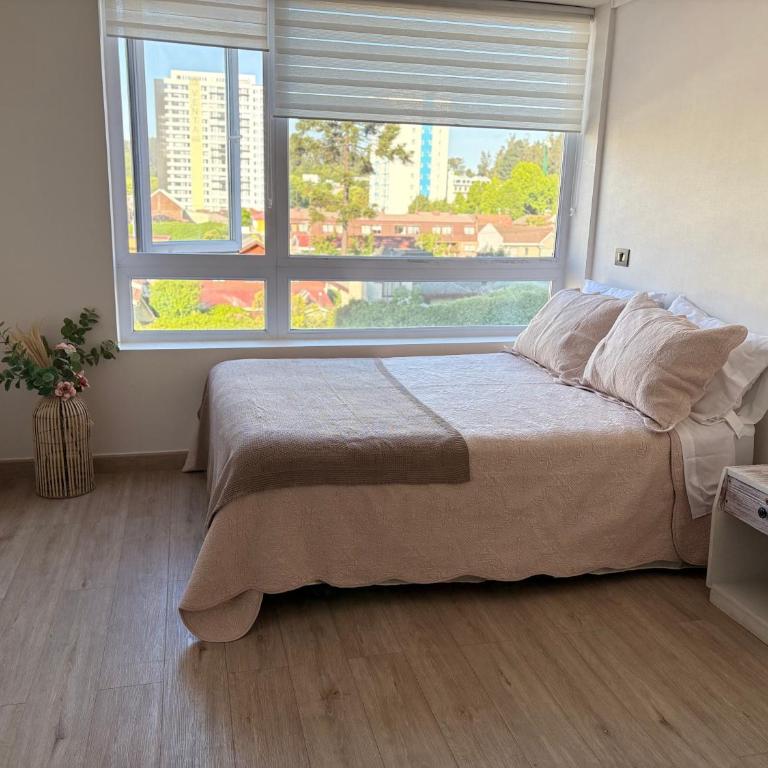 Central space - One-Bedroom Apartment - 4