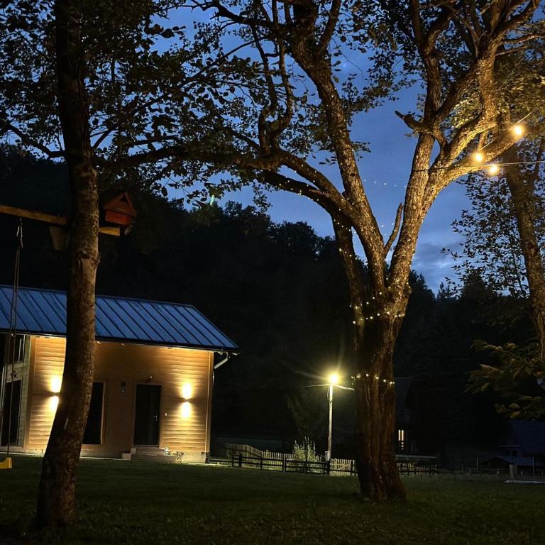 Vikendica The View Jahorina Pale - Two-Bedroom Villa - 20