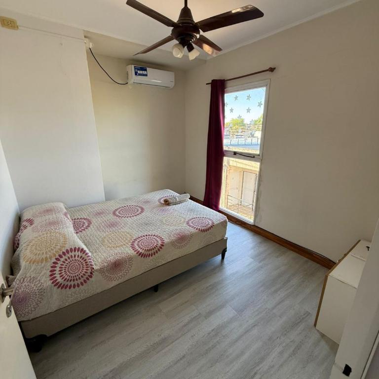 Departamento Fanti - Apartamento de 1 dormitorio - 8