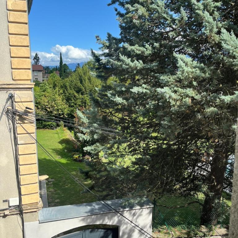 Mila l CLIM l proche hospital - Appartement 1 Chambre - 3