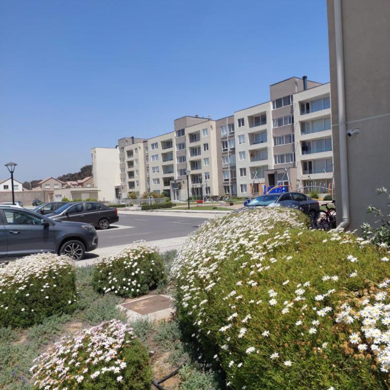 Departamento cerca de la Playa - Two-Bedroom Apartment - 15