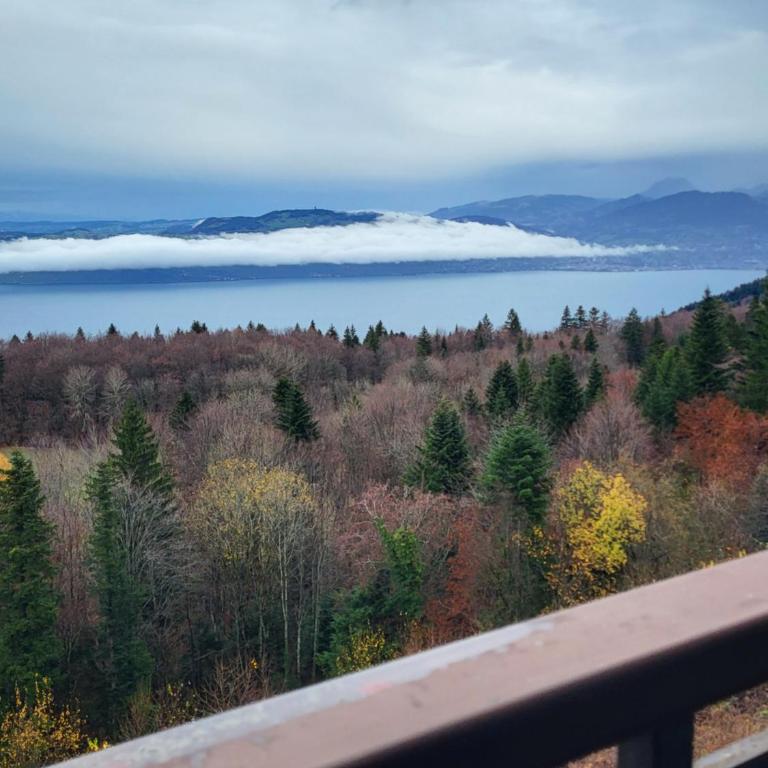 Vue Lac Léman & Télécabine à 1 minute - Appartement 2 Chambres - Vue sur Lac - 29