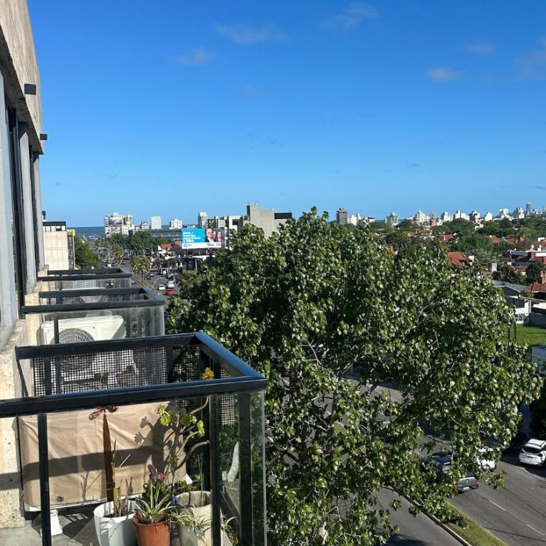 Bright on the avenue - One-Bedroom Apartment - 2