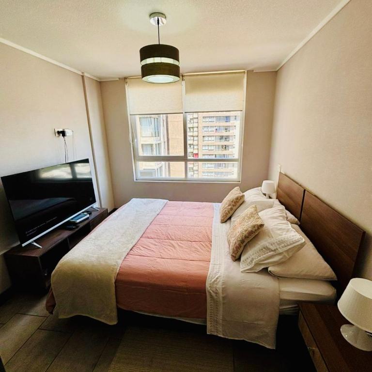 Moderno departamento en el corazón Santiago! - One-Bedroom Apartment - 5