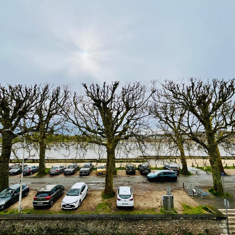 Inédit : appartements grandes capacités sur les quais de Blois - 23 pers - Apartment - 62