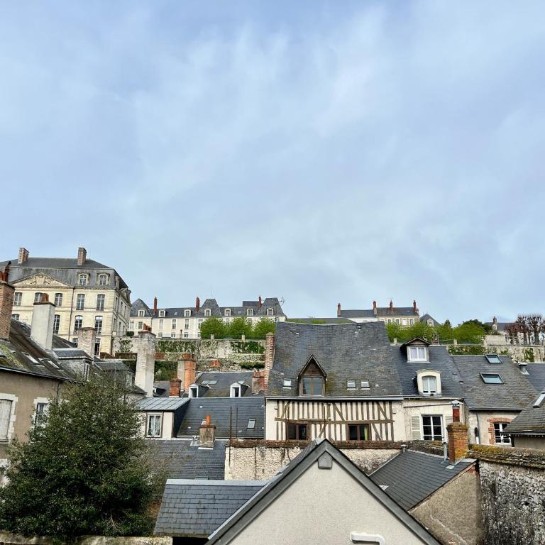 Inédit : appartements grandes capacités sur les quais de Blois - 23 pers - Apartment - 77