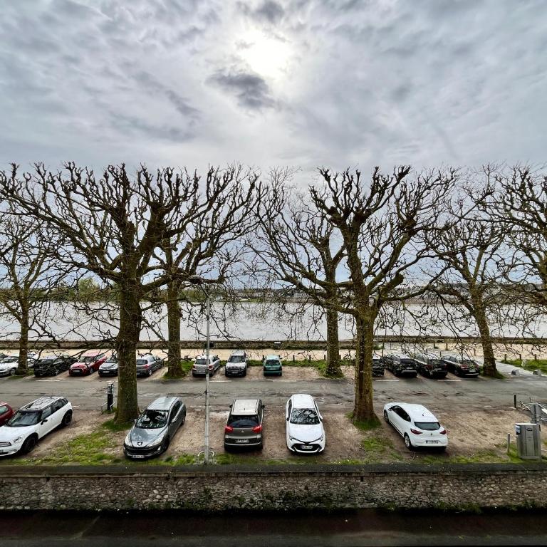 Inédit : appartements grandes capacités sur les quais de Blois - 23 pers - Apartment - 78