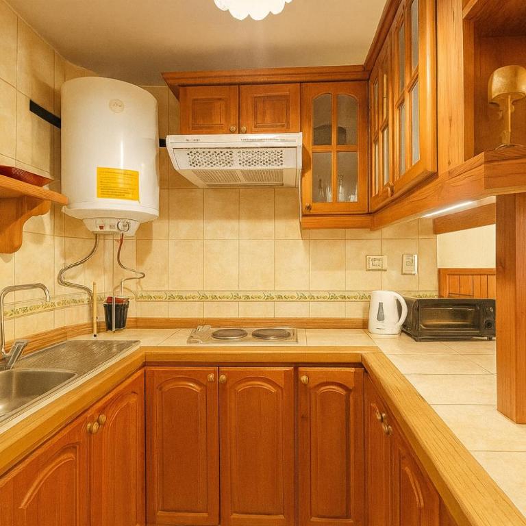 Refugio del volcán - One-Bedroom Apartment - 3