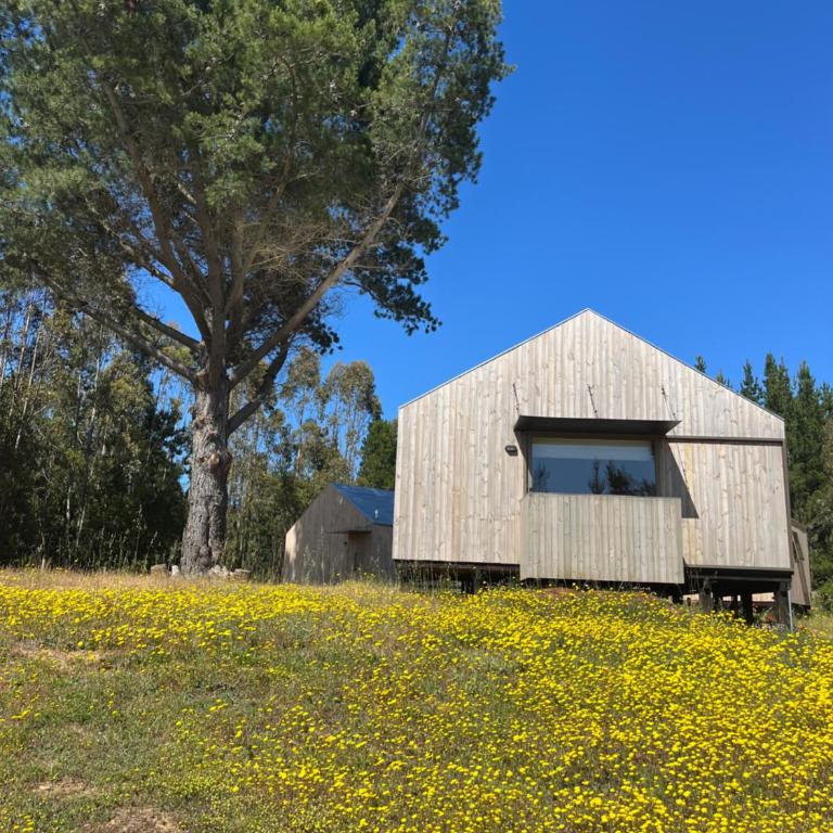 Alojamiento y Desayuno Privado de Lujo C4 - One-Bedroom House - 29