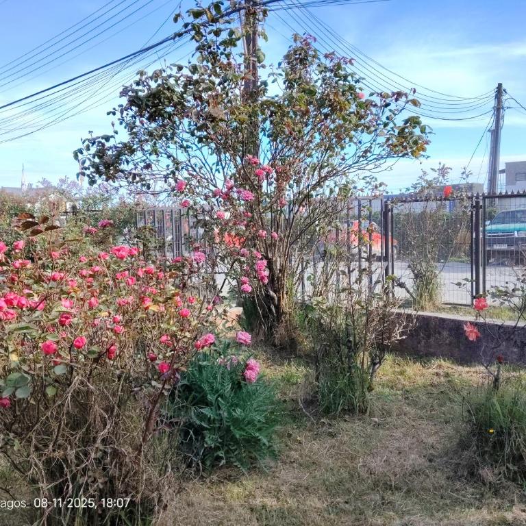 Hospedaje Mirador del Puerto - Budget Double Room - 5