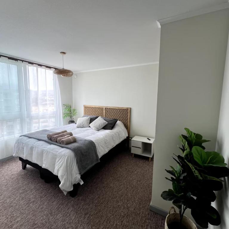 Departamento Premium con vista y piscina Peñuelas - Two-Room Apartment - 4