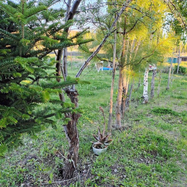 La casita de Don Emilio - One-Bedroom Apartment - 8