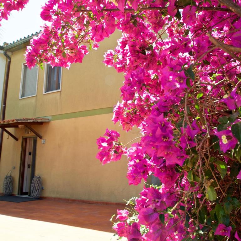 49Starfish Holiday Home - Casa Vacanze - 2