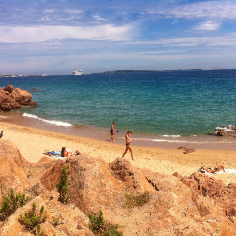 Cannes Terrace Beach Front & Sea view - Apartment mit Terrasse - 57