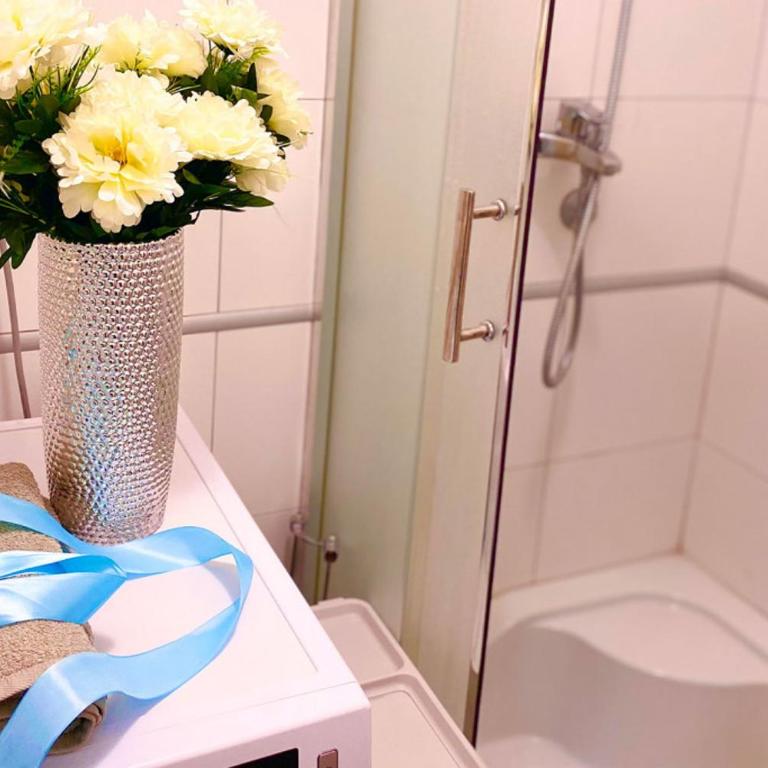 GoldLux-centar - Apartman sa 1 Spavaćom Sobom - 12