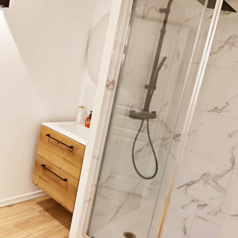 Charmant petit logement avec spa et sauna communs à 2 pas de la place Dalton - One-Bedroom Apartment - 8