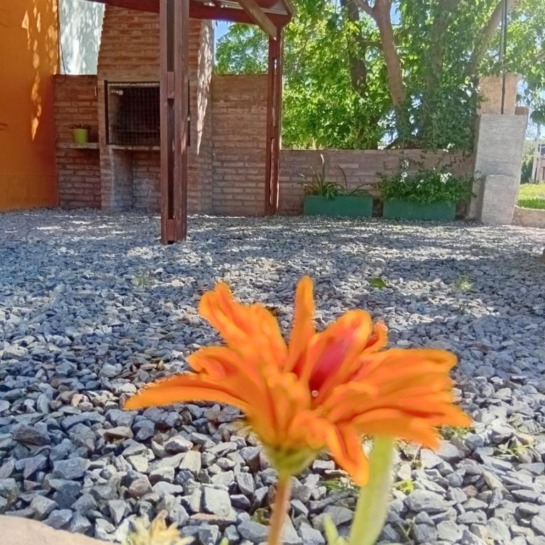 El Nogal - Apartamento de 2 dormitorios - 17