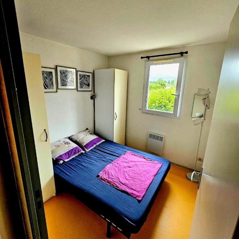 La maison de Lolita-Piscine-Parking-Jardin-acces Canal - Appartement 2 Chambres - 4