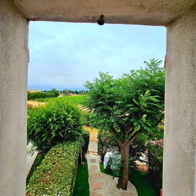 La maison de Lolita-Piscine-Parking-Jardin-acces Canal - Appartement 2 Chambres - 5