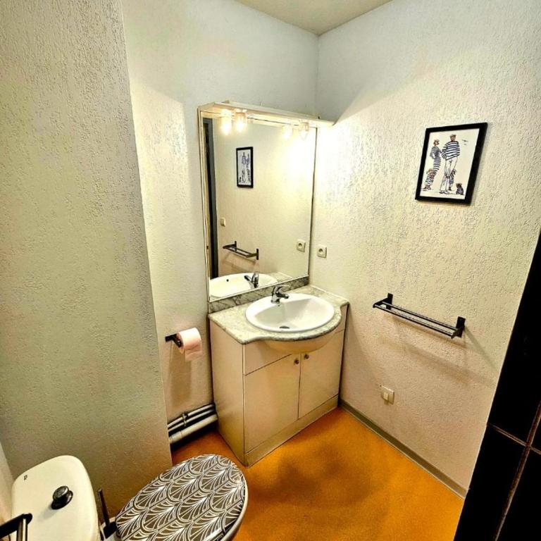 La maison de Lolita-Piscine-Parking-Jardin-acces Canal - Appartement 2 Chambres - 10