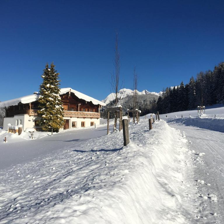 Historisches Alpenchalet Käth & Nanei auf Großschlaggut - Chalet - 48