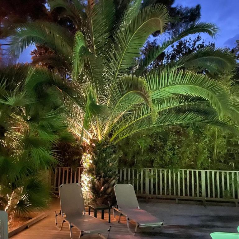 Ravissante villa tout bois avec piscine chauffée - Maison 4 Chambres - 12