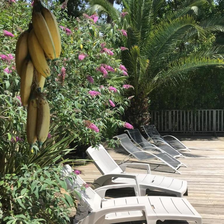 Ravissante villa tout bois avec piscine chauffée - Maison 4 Chambres - 8